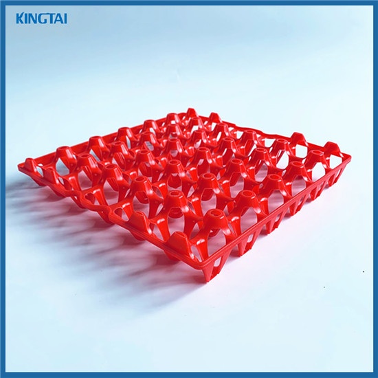 New Material Plastic Tray for 30 eggs